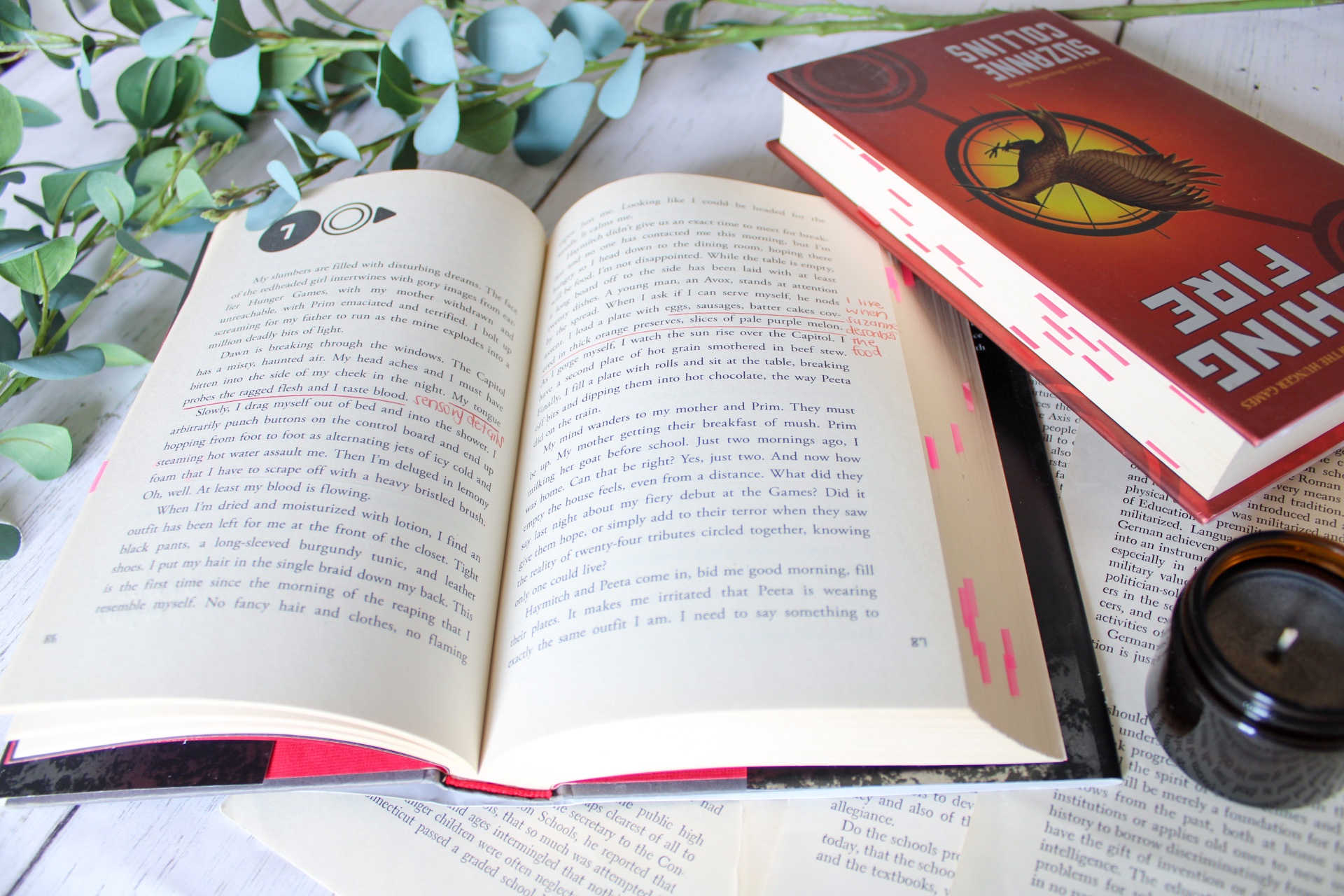 How to Annotate Books for Fun - Plus my Favorite Book Annotation
