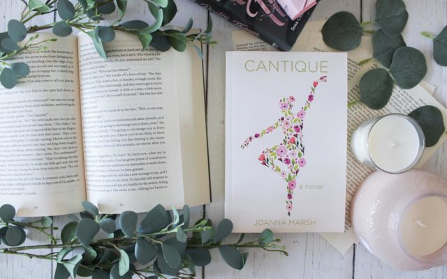 Let's Talk: My Favorite Reading/Annotation Supplies + How I Annotate -  teatimelit